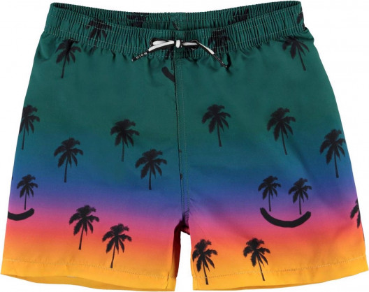 Плавательные шорты Molo Niko Summer Scrap