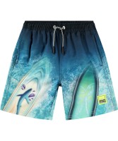 Плавательные шорты Molo Nilson Surf Art Blue chill