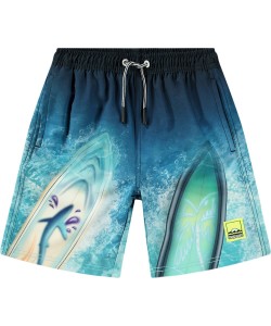 Плавательные шорты Molo Nilson Surf Art Blue chill