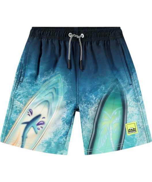 Плавательные шорты Molo Nilson Surf Art Blue chill