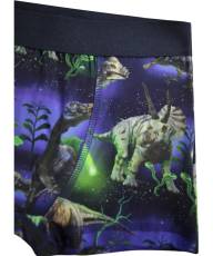 Трусы боксеры Molo Justin 2-pack Dino Galaxy - Трусы боксеры Molo Justin 2-pack Dino Galaxy