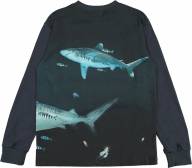 Лонгслив Molo Rexton Dark Sharks - Лонгслив Molo Rexton Dark Sharks