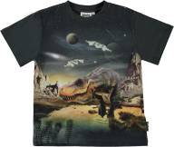 Футболка Molo Riley T-Rex Planet - Футболка Molo Riley T-Rex Planet