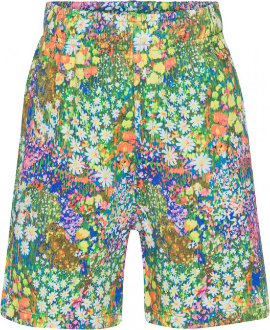 Шорты Molo Adian Flower Field