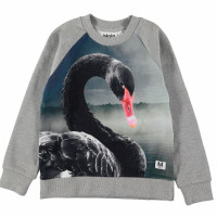 Свитшот Molo Marina Black Swan