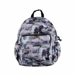 Рюкзак Molo Big Backpack Mythical Creatures