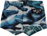 Непромокаемые плавки Molo Nansen Whales - Непромокаемые плавки Molo Nansen Whales