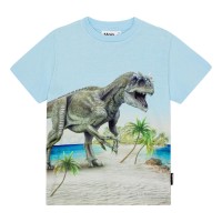 Футболка Molo Roxo Beach Dino