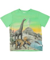 Футболка Molo Rame Colourful Dinos